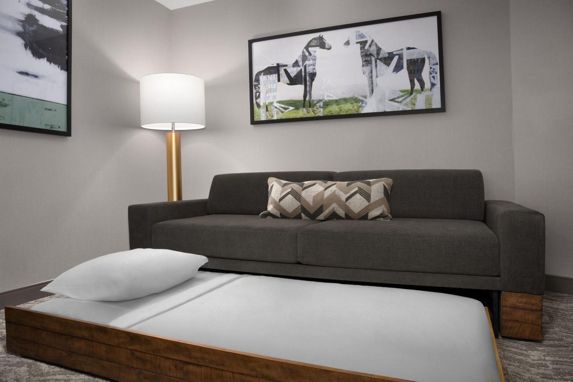 Springhill Suites By Marriott Lexington Fritz Farm Экстерьер фото